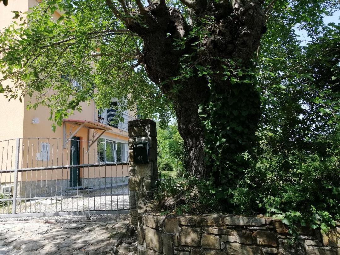 Murva Koper Exteriör bild